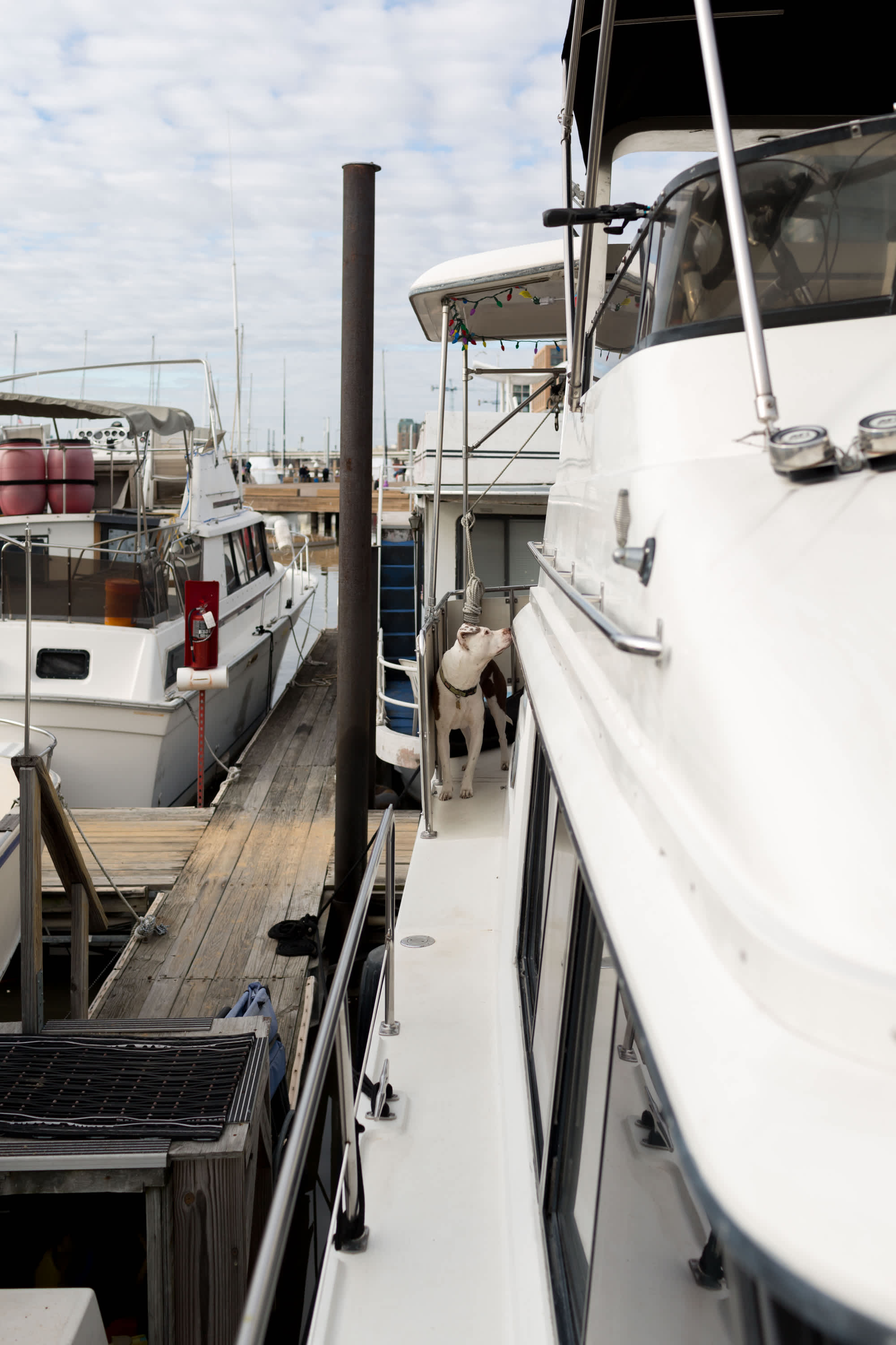 Houseboat Tour Washington DC Family Living on Boat Apartment Therapy
